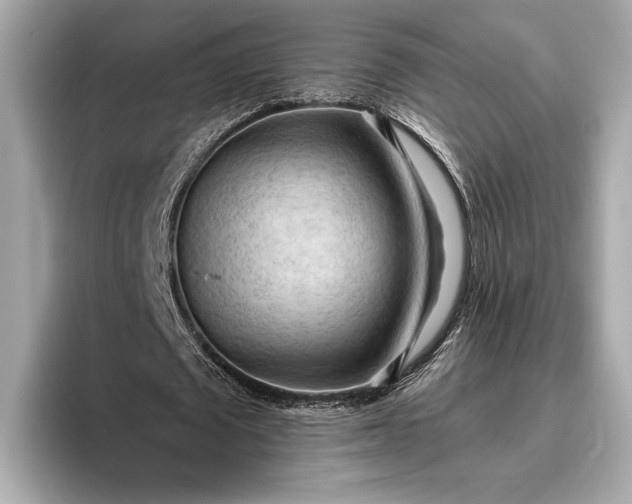 X0000093420673200710260959