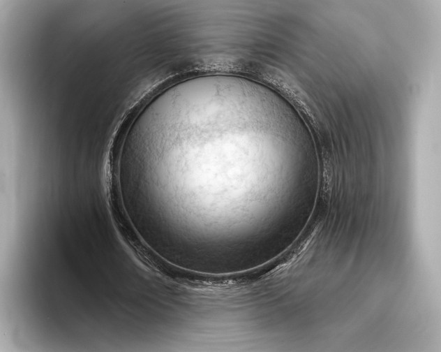 X0000093420674200710260959