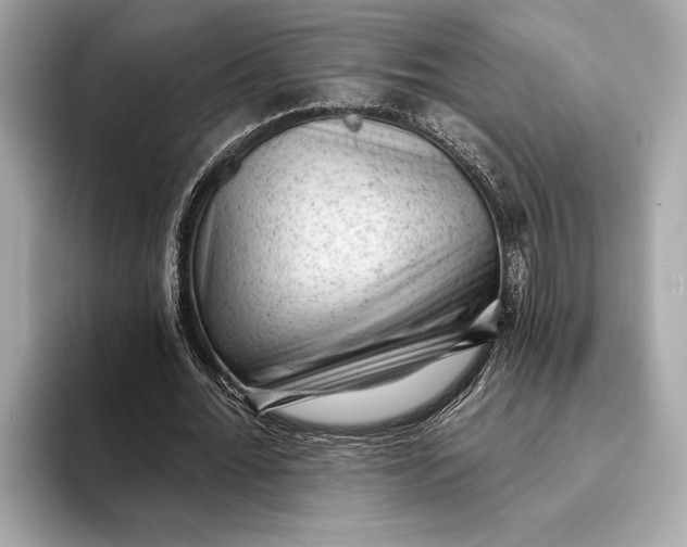 X0000093420676200710260959