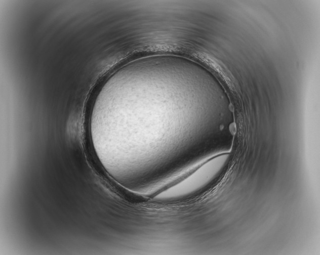 X0000093420677200710260959