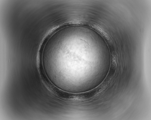 X0000093420678200710260959