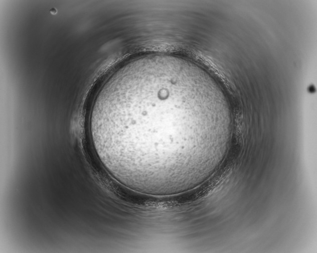 X0000093420679200710260959