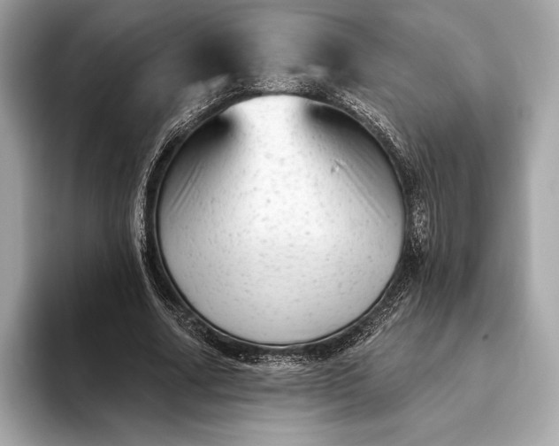 X0000093420682200710260959