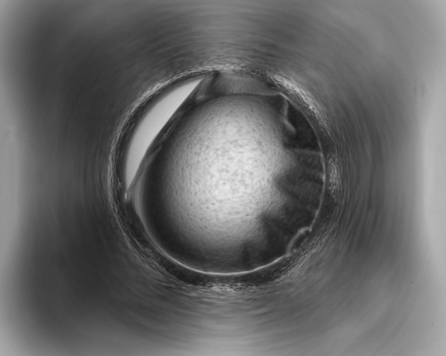 X0000093420684200710260959