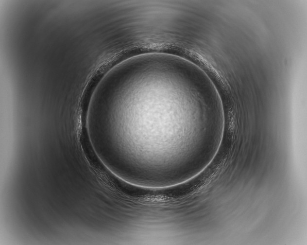 X0000093420685200710260959