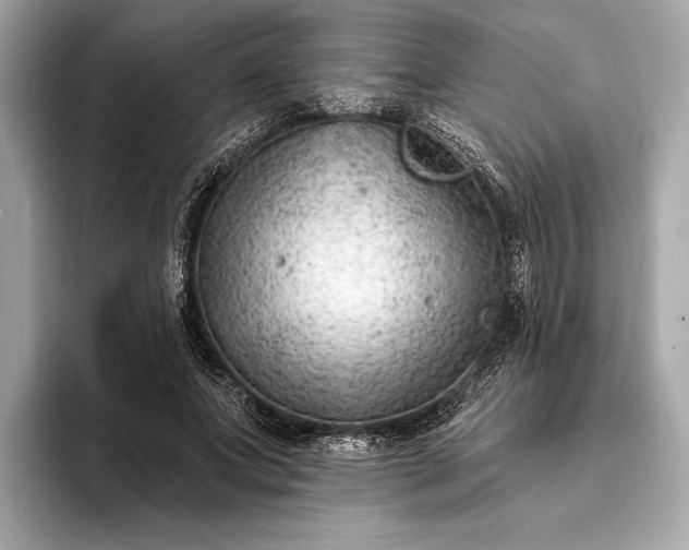 X0000093420687200710260959