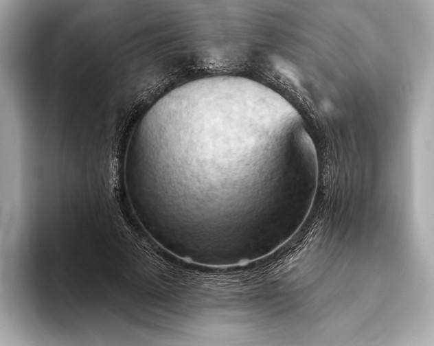 X0000093420689200710260959