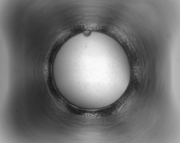 X0000093420690200710260959