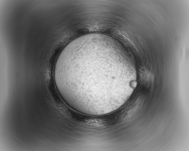 X0000093420691200710260959