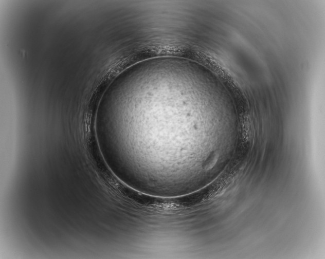 X0000093420695200710260959