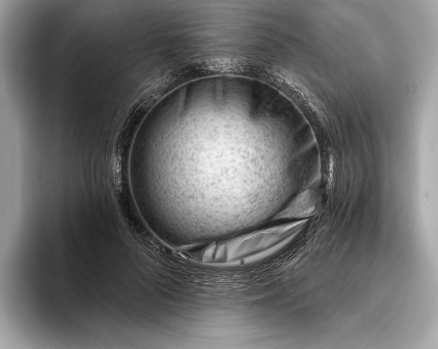 X0000093420696200710260959