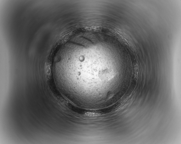 X0000093420699200710260959