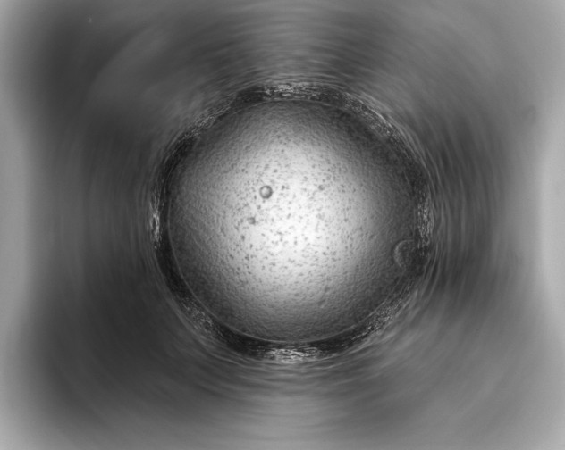 X0000093420703200710260959