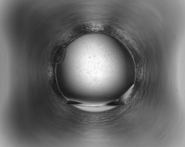 X0000093420704200710260959