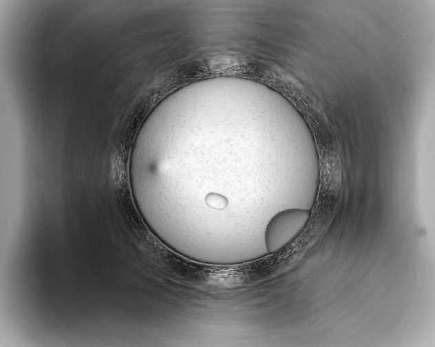 X0000093420705200710260959