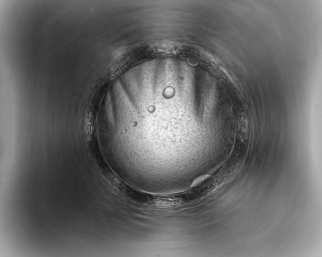 X0000093420707200710260959