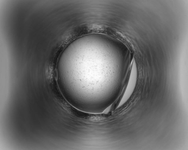 X0000093420708200710260959