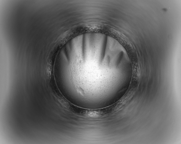 X0000093420710200710260959