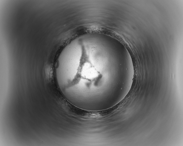 X0000093420715200710260958