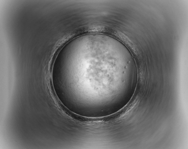 X0000093420721200710260958