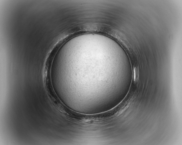 X0000093420723200710260958