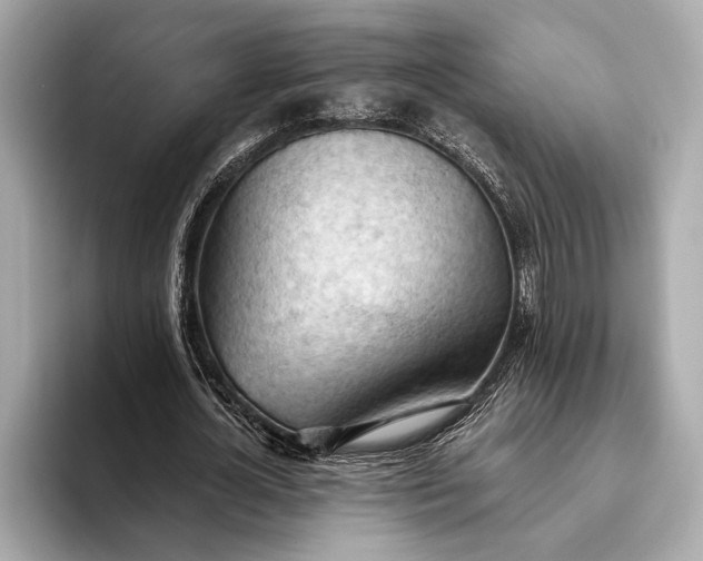 X0000093420724200710260958