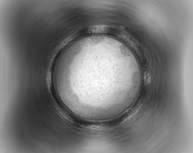 X0000093420725200710260958