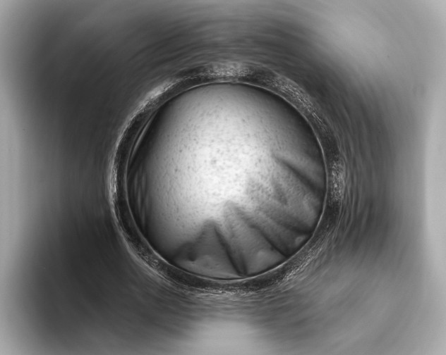 X0000093420726200710260958