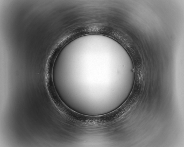 X0000093420728200710260958