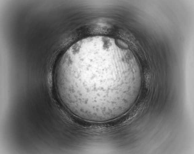 X0000093420729200710260958