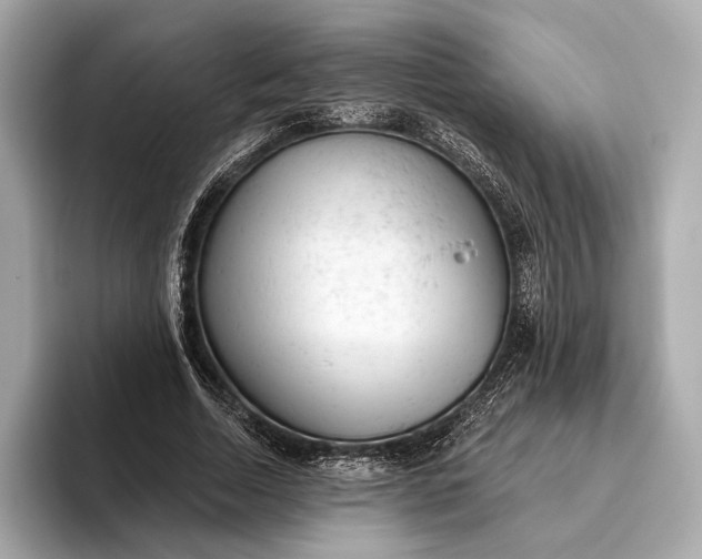 X0000093420730200710260958