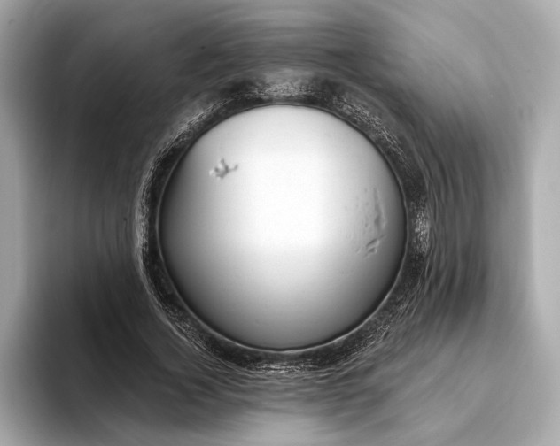 X0000093420732200710260958