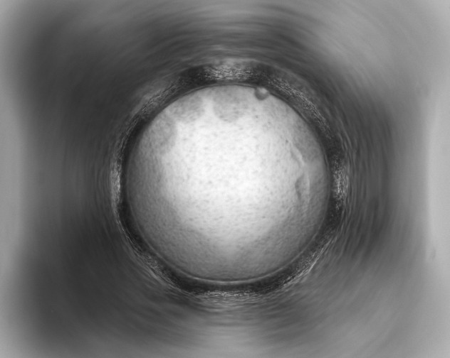 X0000093420733200710260958