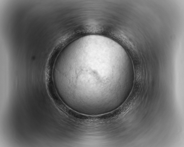 X0000093420736200710260958