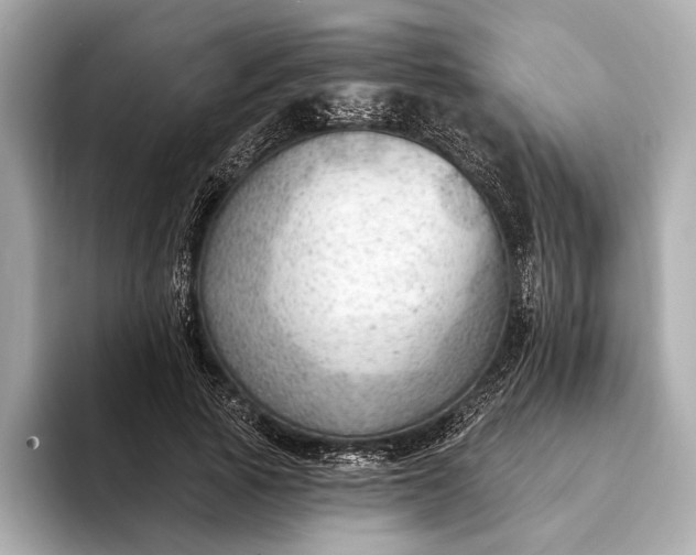 X0000093420737200710260958