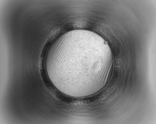 X0000093420738200710260958