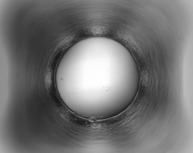 X0000093420740200710260958