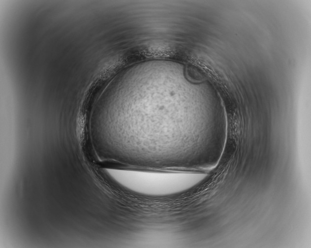 X0000093420742200710260958