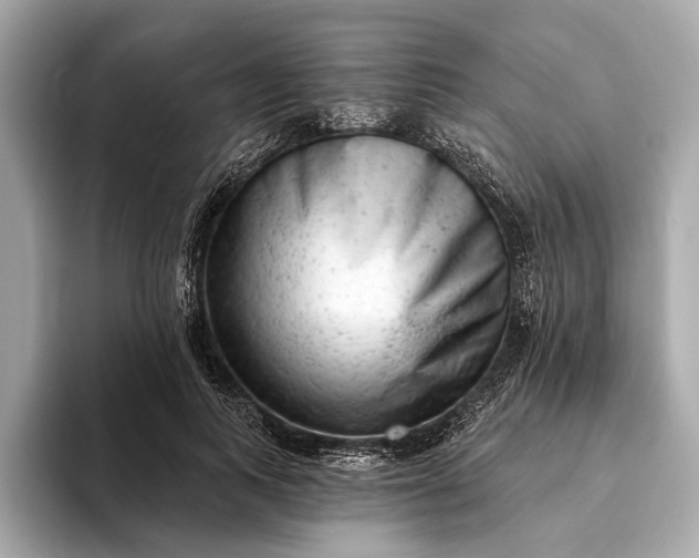 X0000093420743200710260958