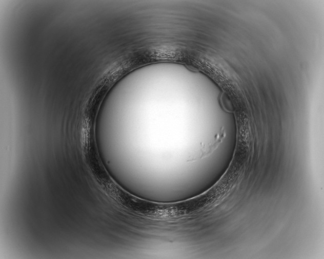 X0000093420744200710260958