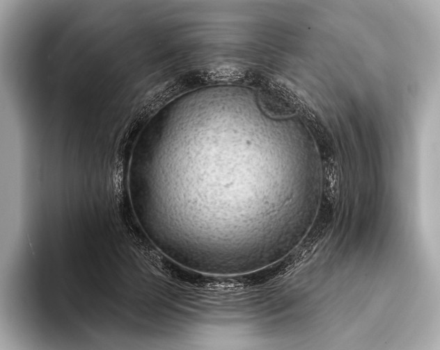 X0000093420745200710260958