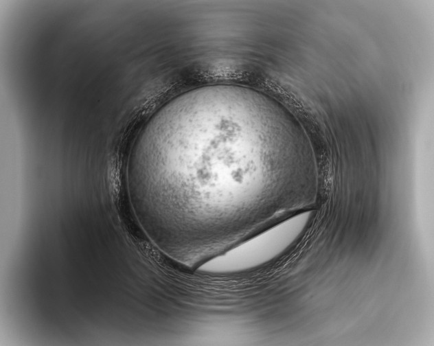 X0000093420746200710260958