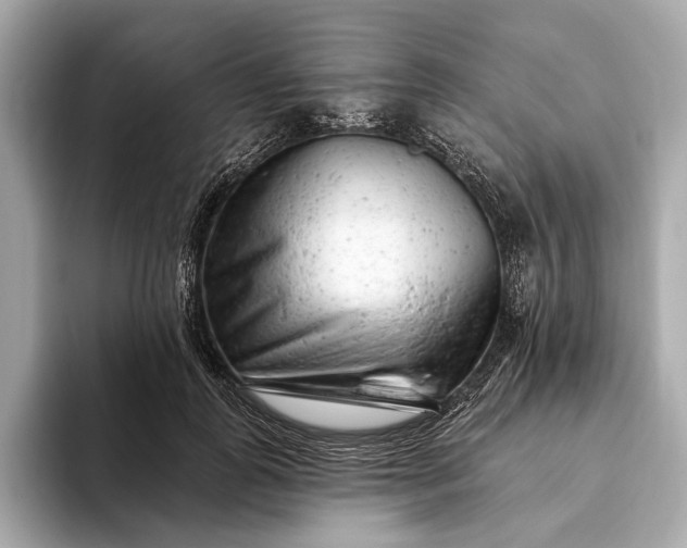 X0000093420747200710260958