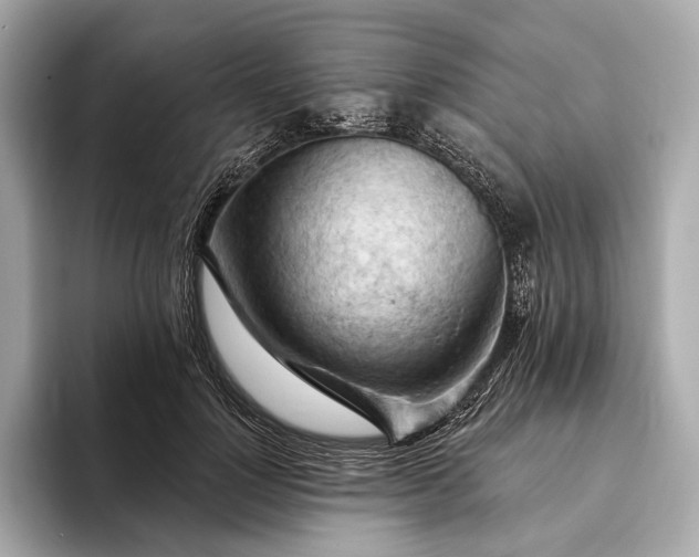 X0000093420748200710260958