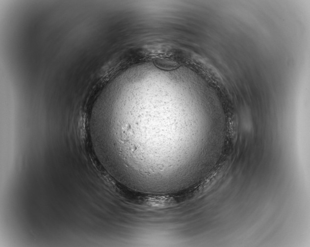 X0000093420757200710260958