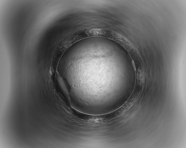 X0000093420760200710260958