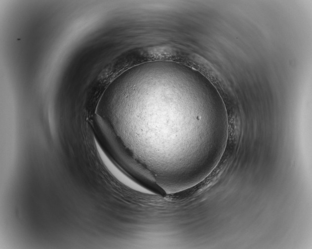 X0000093420762200710260958