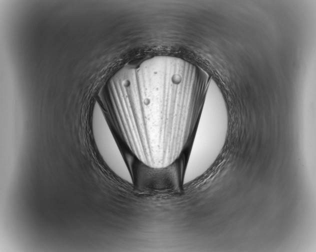 X0000093420769200710260958