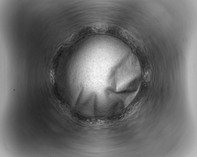 X0000093420772200710260958