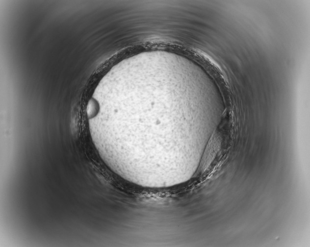 X0000093420775200710260958